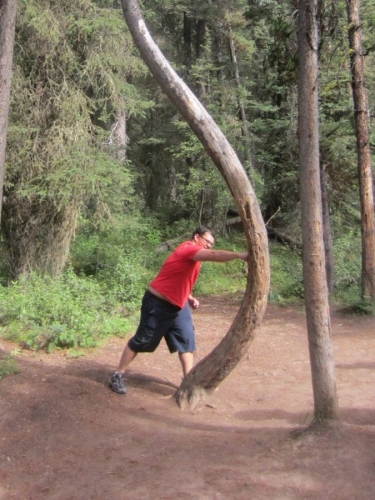 Random Shite 2014 09 04 30