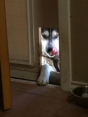 Random Shite 2015 08 20 11