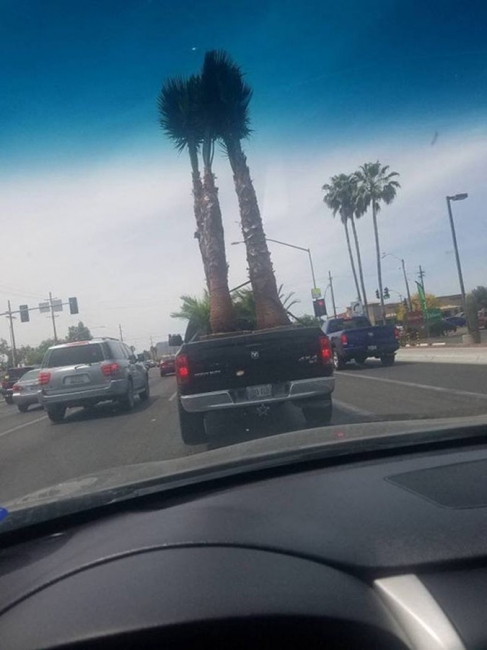 Random Shite 2018 09 27 34