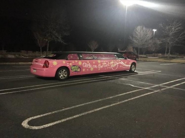 Random Shite 2019 03 28 61