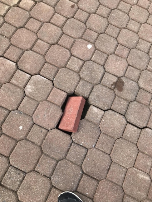 Random Shite 2019 08 22 27