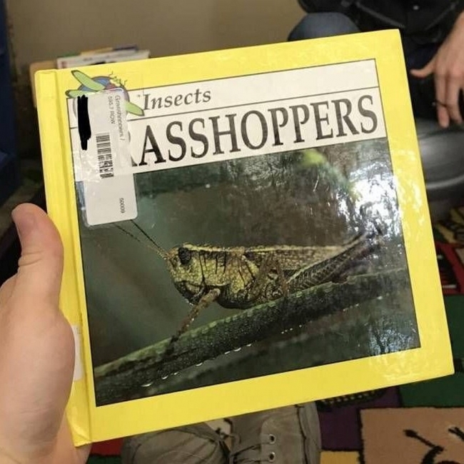 Random Shite 2019 09 26 04