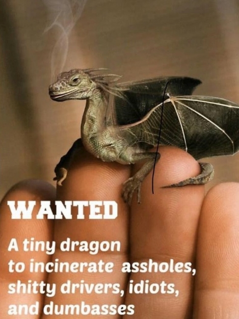 Random Shite 2020 05 14 40