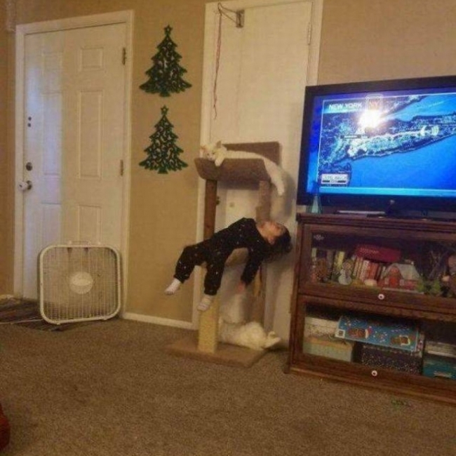 Random Shite 2020 12 24 69