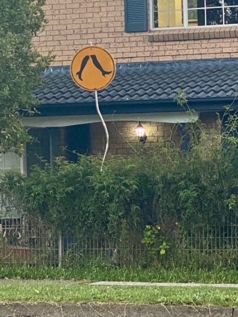 Random Shite 2021 07 22 37