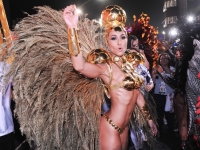 Rio Carnival 12