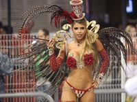 Rio Carnival 46