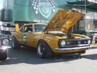 Shannons Sports And Muscle Car Spectacular 025