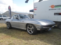 Shannons Sports And Muscle Car Spectacular 027