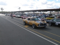 Shannons Sports And Muscle Car Spectacular 054