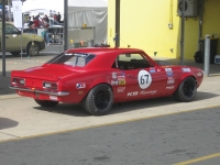 Shannons Sports And Muscle Car Spectacular 055