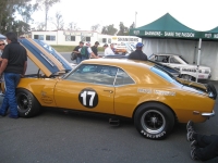 Shannons Sports And Muscle Car Spectacular 089