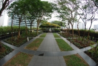 Singapore 26