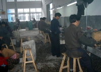 Spark Plug Factory In China 04