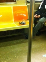 Subway Strangeness 29