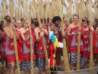 Swaziland_virgin_parade_28