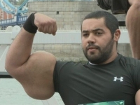 Synthol Abusers 05