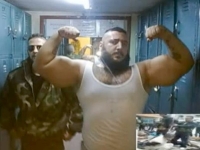 Synthol Abusers 22