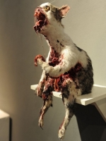 Taxidermy Gone Crazy 07