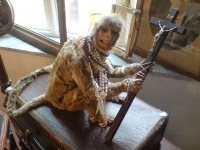 Taxidermy Gone Crazy 26