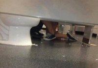 The Ladies Room