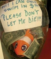 Tip Jar Humour 28