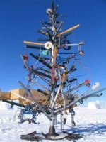 Unusual Christmas Trees 15