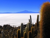 Uyuni Salt Lake 06