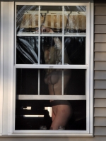 Window Voyeuring 11