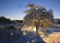 Winter_wonder_10