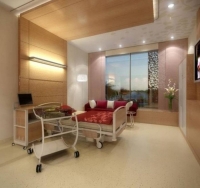 Worlds Most Luxurious Hospital Concept 06