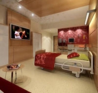 Worlds Most Luxurious Hospital Concept 29