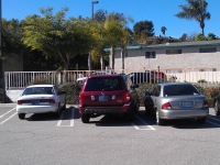 You Park Like A Fuck 18