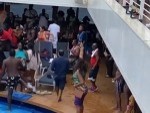 Absolute Animals Brawl On A Cruise
