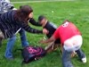 Actually A Pretty Decent Brawl In The Park