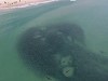 Aerial View Of Sharks Herding Baitfish In Eastern Australia
