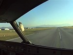 Airliner Bird Strike Right On Landing
