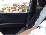 Creeps Some Girls Out Having A Car Wank
