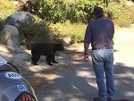 Bear Release Doesn't Quite Go To Plan
