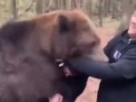 Bears Are Actually Very Affectionate
