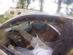 Bees Have Ravaged This Car - Wow!
