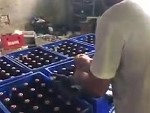 Behind The Scenes At A Fake Beer Factory
