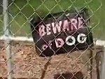 Beware Of Dog
