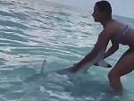 Bikini Chick Rescues A Shark
