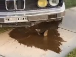 BMW Dummies Break Their Shit
