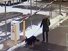 Boom Gate Booms A Dog Walker
