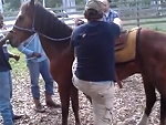 Boy Tires To Mount A Horse But It Doesn't Work Out

