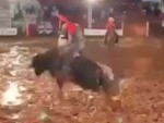 Bull Rider Goes Back For A Redo
