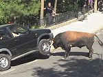 Bull Takes Its Rage Out On A Parked Car
