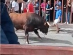 Bulls Love A Bit Of Cockiness
